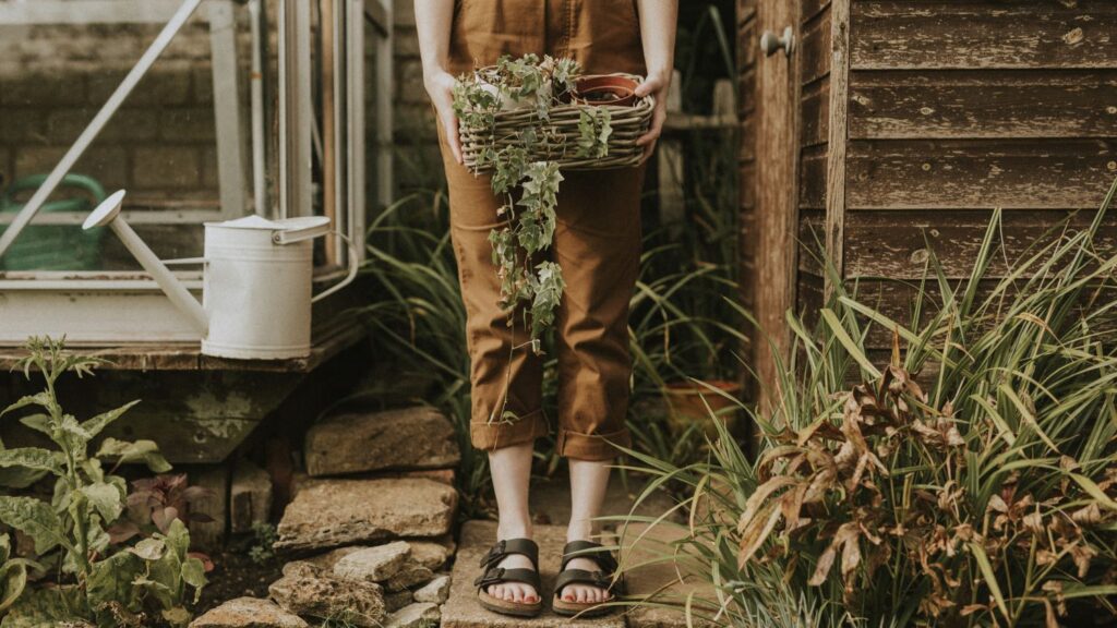 Jak urządzić taras od podstaw — przewodnik krok po kroku